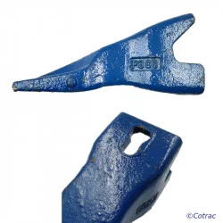 Dent ARDEN P301 - Vue 2 (Clavetage)