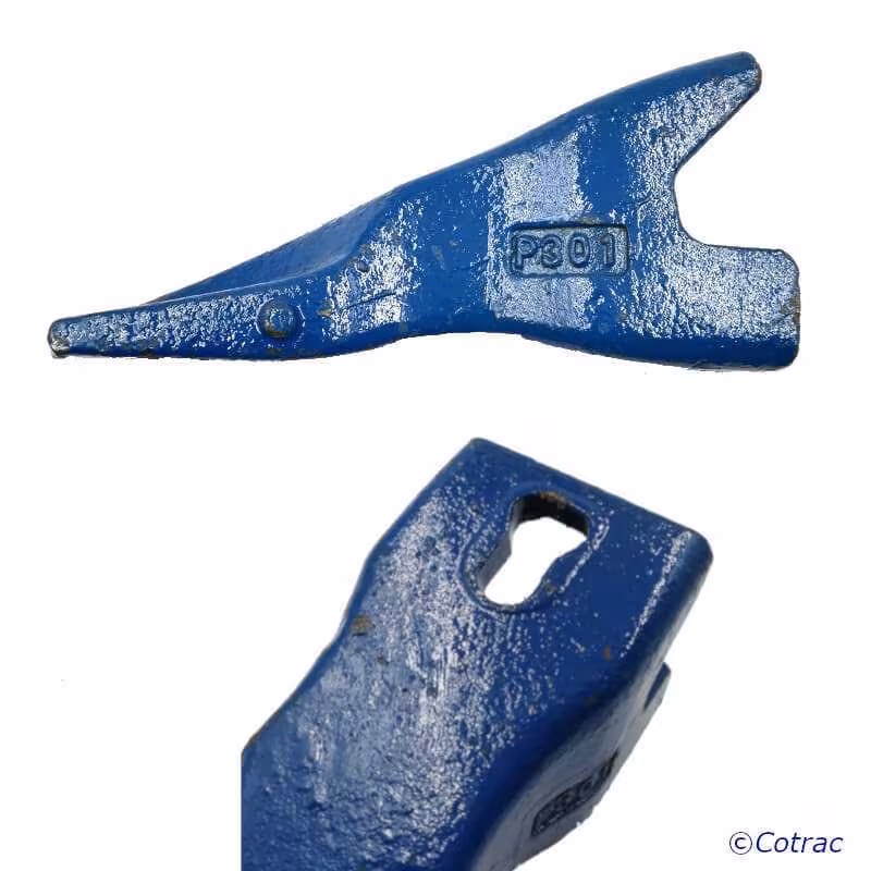 Dent ARDEN P301 - Vue 2 (Clavetage)