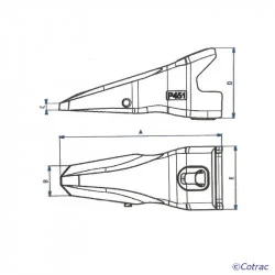 Dent ARDEN P651