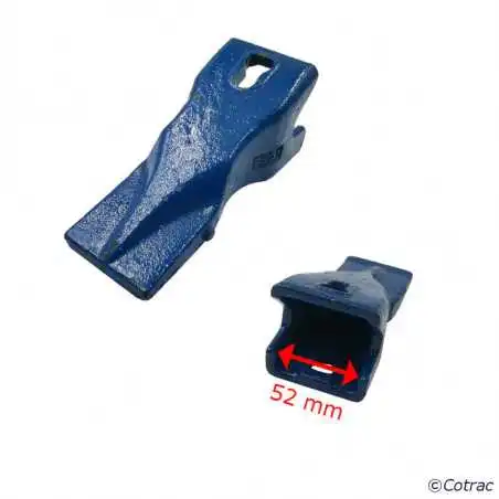 Dent ARDEN P301 - Vue 1 Recto/Verso Dent ARDEN P301 - Vue 1 Recto/Verso