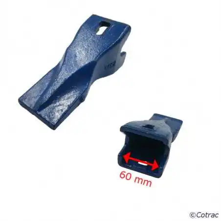 Dent ARDEN P401 - Vue 1 Recto/Verso
