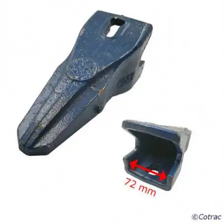 Dent ARDEN P551 - Vue 1 Recto/Verso Dent ARDEN P551 - Vue 1 Recto/Verso