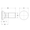 Vis TFCC 3/4 x 2" 1/2 (19.1 x 63.5 mm)