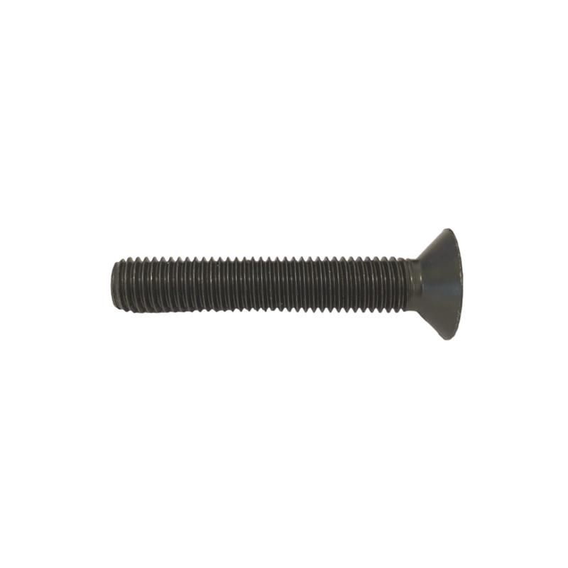 Vis FHC (Fraisée Hexagonale Creuse) M14 X 80 UNI 5933 DIN 7991 (ISO 10642)