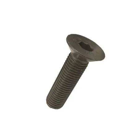 Vis FHC (Fraisée Hexagonale Creuse) M16 X 60 Vis FHC (Fraisée Hexagonale Creuse) M16 X 60