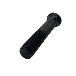 Vis TFCC 1'' x 5'' 1/4 (25.4 x 133.4 mm)
