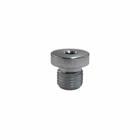 Bouchon BSP 1/4'' pour raccord hydraulique