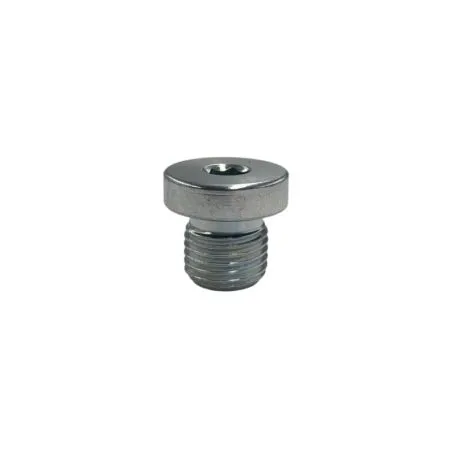 Bouchon BSP 1/4'' pour raccord hydraulique Bouchon BSP 1/4'' pour raccord hydraulique