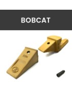 Dents Bobcat